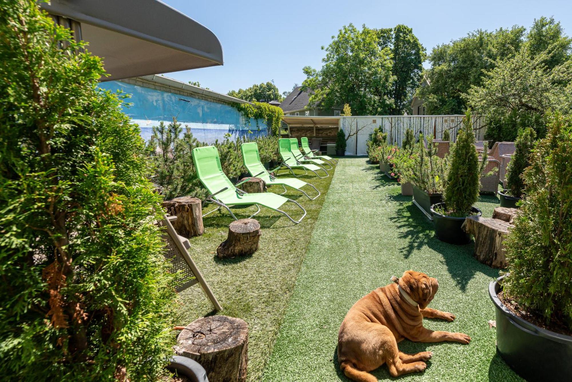 Garden Camping Таллінн Екстер'єр фото